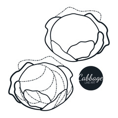 Hand drawn set of cabbage. Retro sketches isolated. Vintage collection. Linear graphic design. Black and white image of vegetables. Vector illustration.