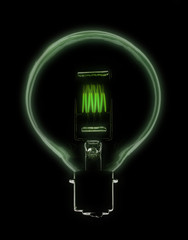 LIGHT BULB GLOWING GREEN IN SILHOUETTE ON BLACK  BACKGROUND