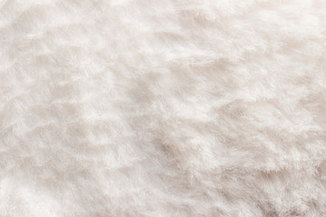Fototapeta na wymiar wool fur texture for background