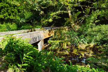 Famous Road to Hana fraught with narrow one-lane bridges, hairpin turns and incredible island views, curvy coastal road with views of cliffs, waterfalls, and miles of rainforest. Maui, Hawaii