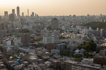 Fototapeta premium 都会の夕日
