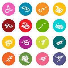 Snake icons set colorful circles vector
