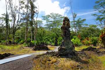 Lava molds of the tree trunks that were formed when a lava flow swept through a forested area in Lava Tree State Monument on the Big Island of Hawaii