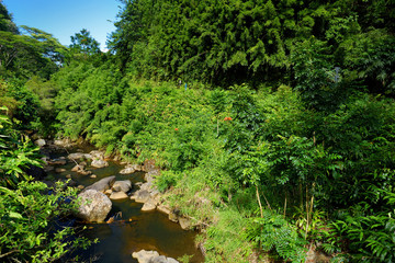 Beautiful views of Maui North coast seen from famous winding Road to Hana. Hawaii