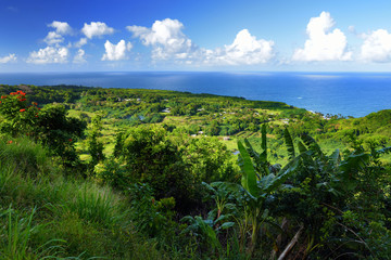Fototapeta na wymiar Beautiful views of Maui North coast seen from famous winding Road to Hana. Hawaii