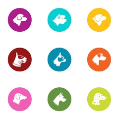 Pooch icons set, flat style