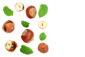 Hazelnuts with leaves with copy space for your text isolated on white background. Top view. Flat lay