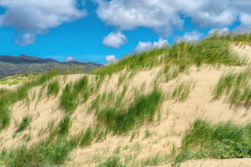 White clouds on blue sky over dunes