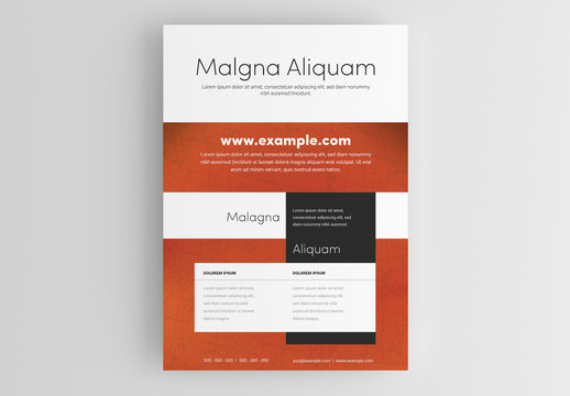 Business Flyer Layout with Orange Accent