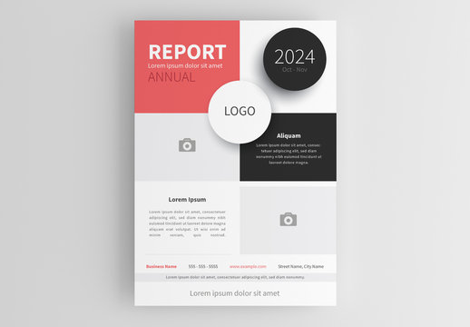 Business Flyer Layout with Rectangular Sections