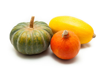 Colorful pumpkin and squash, Red Kuri, Kabocha, Spaghetti