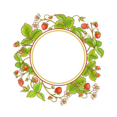 strawberry plant vector frame