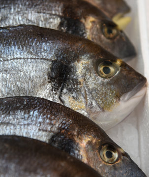 Goldbrassen in einer K&uuml;hltheke im Supermarkt