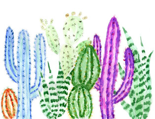 Cacti watercolor art