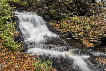 Fototapeta na wymiar Upper Mohican Falls - Ricketts Glen, Pennsylvania
