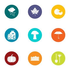 Autumn period icons set, flat style