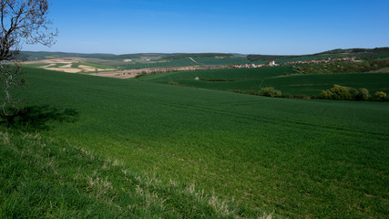 Landscape on the road to Milotice