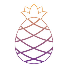 pineapple icon over white background, vector illustration