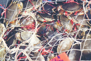 seafood in market