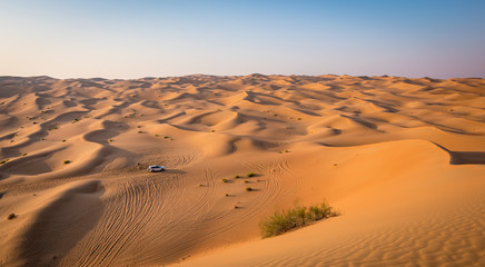 Fototapeta na wymiar Abu Dhabi safari desert