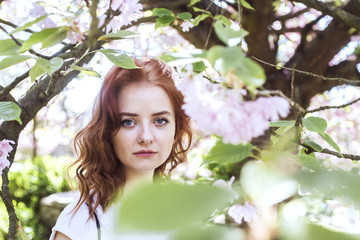 Fototapeta premium Young beautiful redhead girl in white t-shirt in springtime blossom cherrytrees garden. 