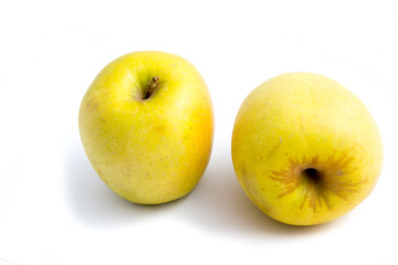 yellow apples on a white background