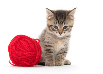Cute tabby and ball of yarn