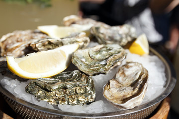 Close-up of sealed shells of fresh oysters lie on ice with lemon slices. The concept of a picnic. Luxury seafood