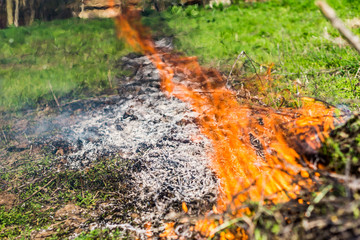 Texture background, close-up of a glowing stubble, with flames and ash from burnt dry grass. The strength of the fiery element.