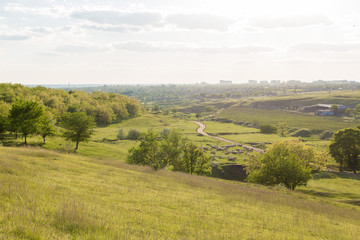 Sheep and goats graze on green grass in spring	