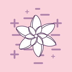 beautiful flower icon over pink background, colorful line design. vector illustration