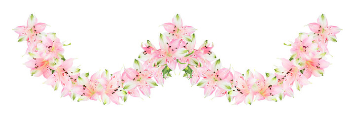 Fototapeta na wymiar Alstroemeria flowers on white background