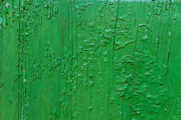 Fototapeta premium Wooden door texture with green paint is severely weathered and peeling