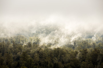 Cloud rises from forest along the Gordon River Road, Tasmania, Australia