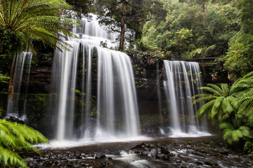 Iconic Russell Falls, Tasmania, Australia