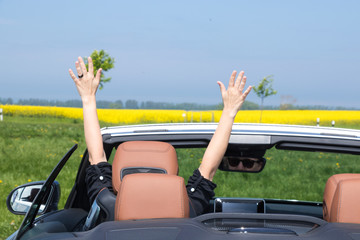 Young attractive brunette woman sitting with her hands up in Luxury Convertible Sports Car - rear view