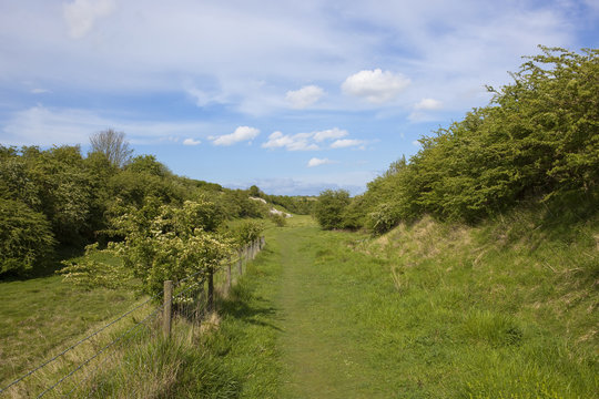 Kiplingcotes nature reserve