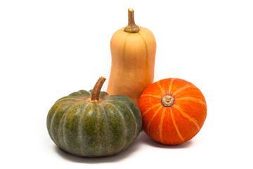 Colorful pumpkin and squash, Red Kuri, Kabocha, Butternut