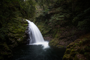 Waterfall, Akame 48 Falls track, Japan