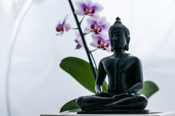 Buddha and Orchid
