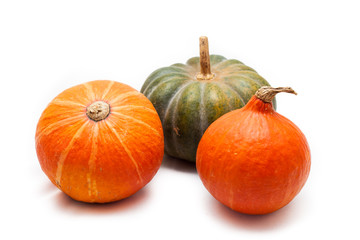 Colorful pumpkin and squash, Red Kuri, Kabocha,