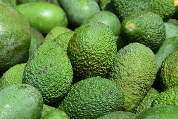 Stapel Avocados auf dem Wochenmarkt