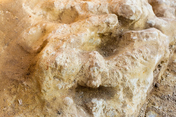 archaeological excavations, remains of the settlement, the scythians fossils