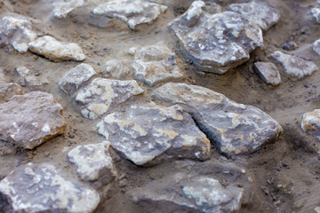 archaeological excavations, remains of the settlement, the scythians fossils