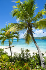 Fototapeta na wymiar Beautiful bright view through tropical vegetation to a white sandy beach and clear blue Caribbean sea