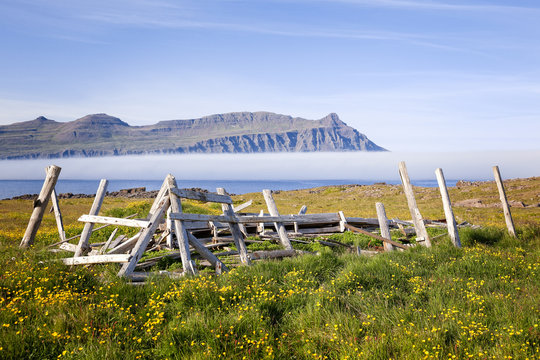 Waft mist at F&aacute;skr&uacute;&eth;sfj&ouml;r&eth;ur