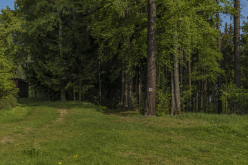 Meadow near Haj u Ase hill