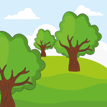 landscape with trees, colorful design. vector illustration