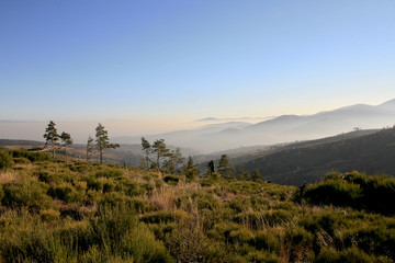 Collines d'Ardèche