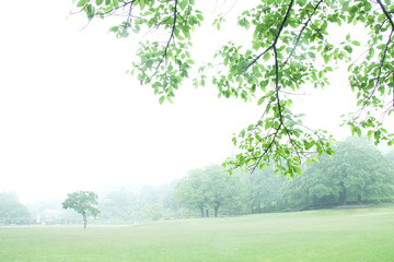 Fototapeta na wymiar 　朝の公園風景